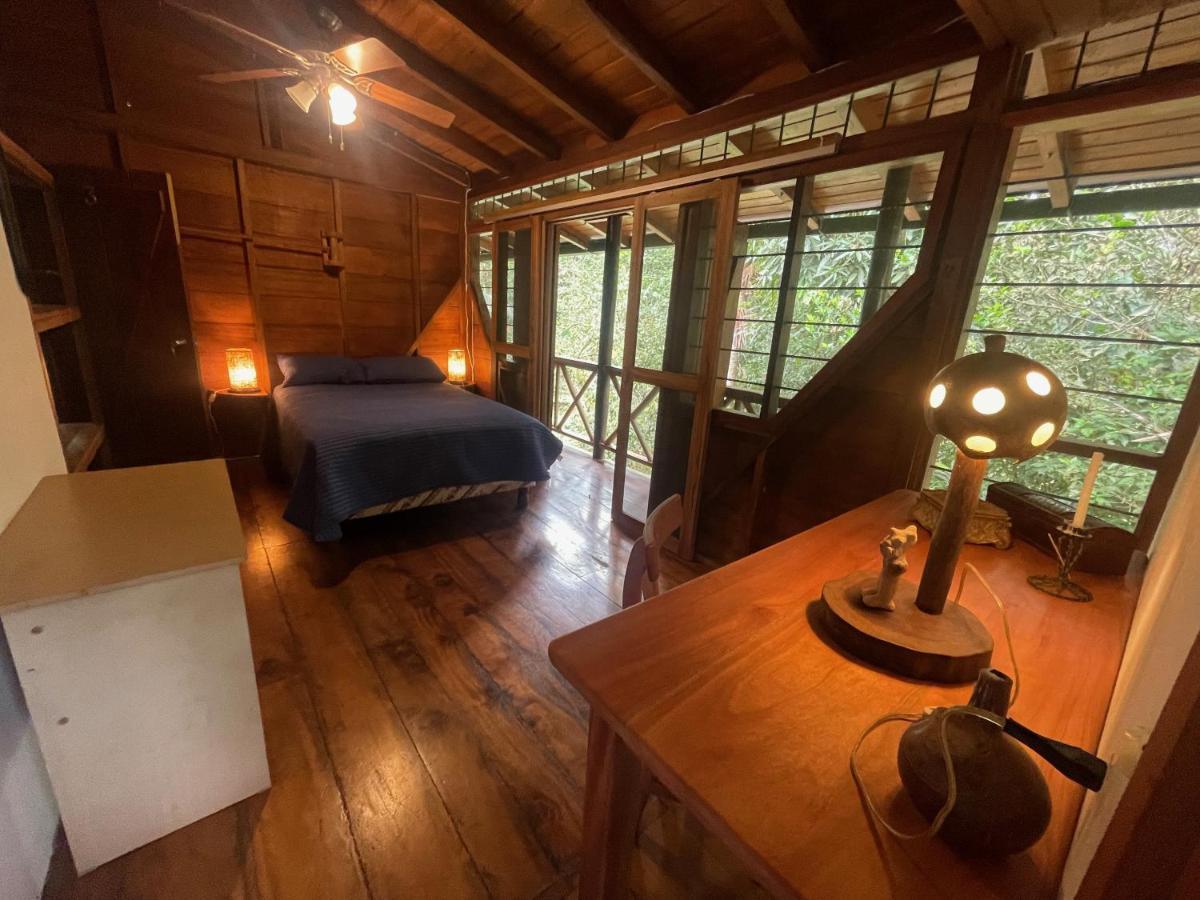 Caoni Riverside Lodge Пуерто Кито Екстериор снимка