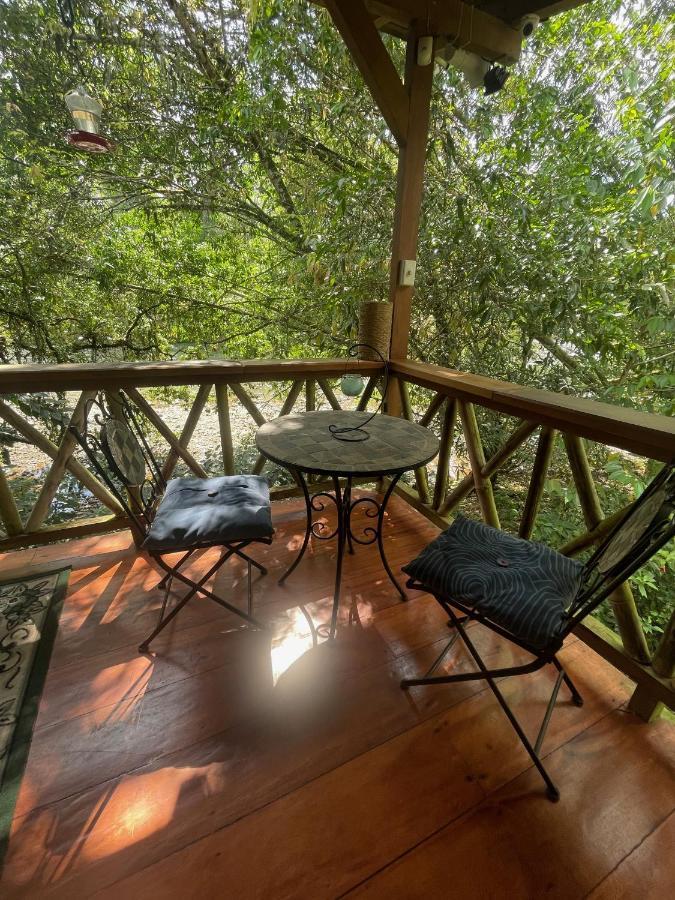 Caoni Riverside Lodge Пуерто Кито Екстериор снимка